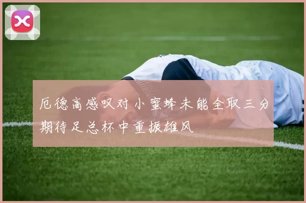 厄德高感叹对小蜜蜂未能全取三分期待足总杯中重振雄风